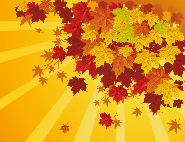 free vector Fall Leaves Vector